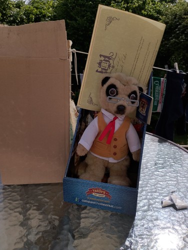 Meerkat